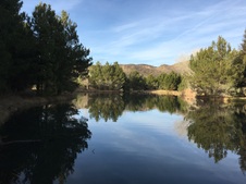Enlarge photo 14