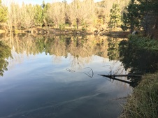 Enlarge photo 15