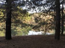 Enlarge photo 16