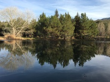 Enlarge photo 17