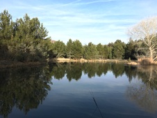 Enlarge photo 18