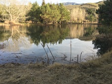 Enlarge photo 19