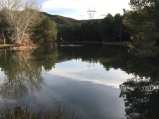 Enlarge photo 20