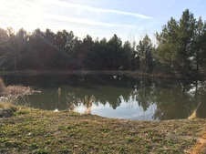 Enlarge photo 21