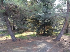 Enlarge photo 23