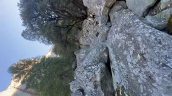 Enlarge MOV 20