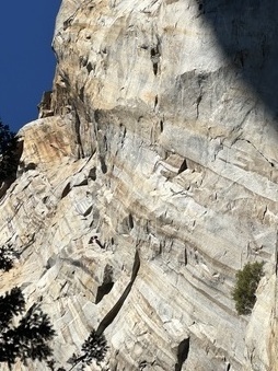 Enlarge photo 31