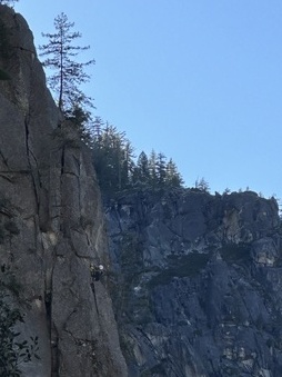 Enlarge photo 38