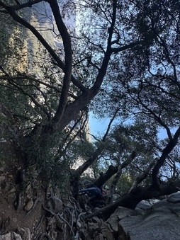 Enlarge photo 39