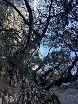 Enlarge photo 40
