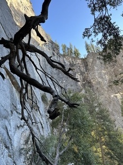 Enlarge photo 41