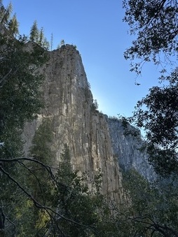 Enlarge photo 42