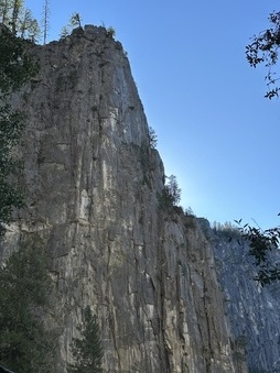 Enlarge photo 43