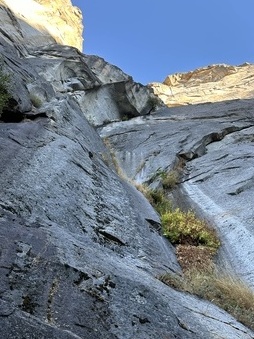 Enlarge photo 45