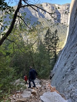 Enlarge photo 52