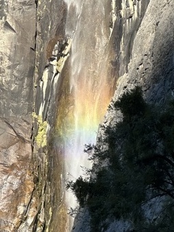 Enlarge photo 55