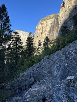 Enlarge photo 59