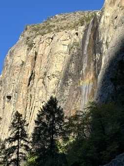 Enlarge photo 60