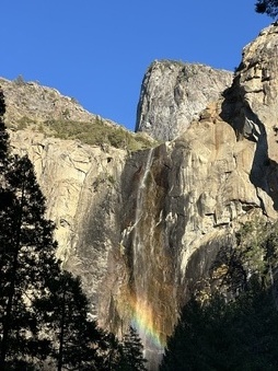 Enlarge photo 62