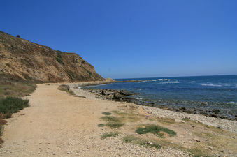 Enlarge photo 17