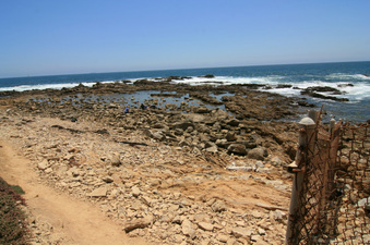 Enlarge photo 29