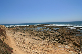 Enlarge photo 30