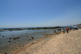 Enlarge photo 33