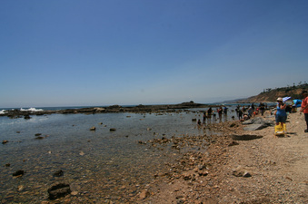 Enlarge photo 35