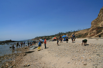 Enlarge photo 36