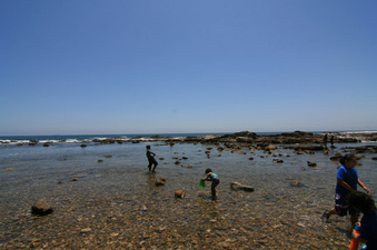 Enlarge photo 37