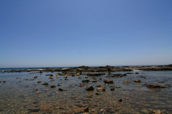 Enlarge photo 38