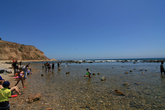Enlarge photo 39