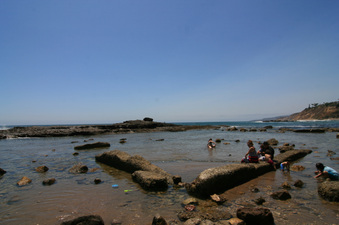 Enlarge photo 42