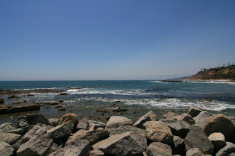 Enlarge photo 48