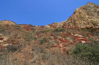 Enlarge photo 51
