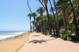 Enlarge photo 54