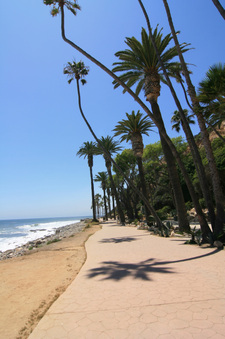 Enlarge photo 55