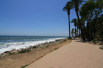 Enlarge photo 57