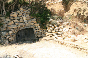 Enlarge photo 60