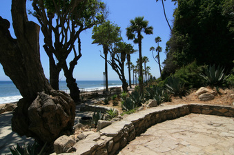 Enlarge photo 61