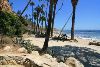 Enlarge photo 62