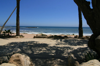 Enlarge photo 63