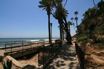 Enlarge photo 64