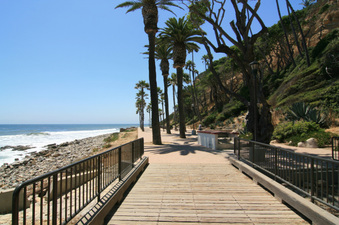 Enlarge photo 65