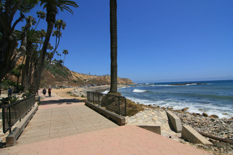 Enlarge photo 66