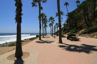 Enlarge photo 71