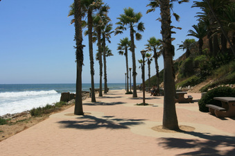 Enlarge photo 72