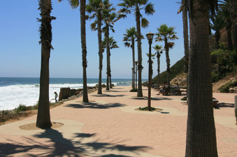 Enlarge photo 73