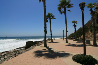 Enlarge photo 74