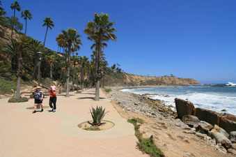 Enlarge photo 77